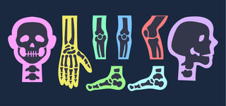 Bone density for longevity