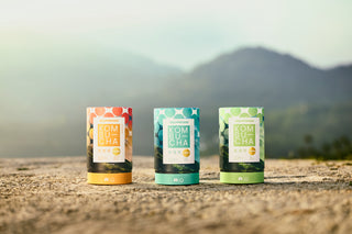WillPowders gut-loving Kombucha powder with probiotics