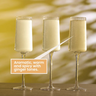 Warm Kombucha is aromatic and spicy with ginger tones