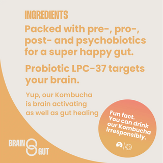 Kombucha with prebiotics, postbiotics, probiotics and psychobiotics