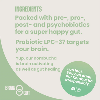 Kombucha - prebiotics, postbiotics, probiotics