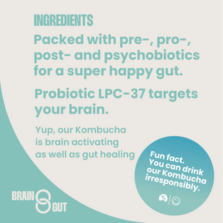 Kombucha with LPC-37 probiotics