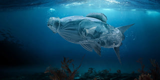 A realistic digital illustration of an underwater scene featuring an enormous fish made from a plastic bottle. The fish's internal organs are visible through its clear body. Backdrop of the ocean floor