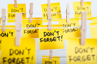 WillPowders guide to memory and cognitive function