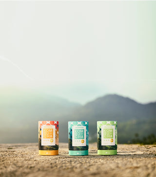 WillPowders kombucha powder with probiotics, prebiotics, postbiotics