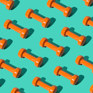 Strength and longevity with WillPowders