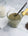 Turmeric, Ginger,  Raw Milk Chia Seed Pudding