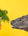 Cow being fed carrots on a yellow background