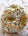 High Protein Bagels