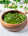 Pesto with MCT Oil