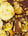 Banana Bark