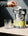 What is creatine? And how to take it?