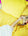 A person lying on a bed with yellow bedding with orange sunglasses on 