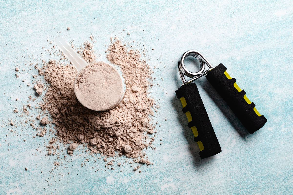 What a Performance Protein Powder! – WillPowders