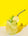 Citrus Collagen Tonic