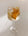 Light Kombucha Summer Spritz