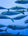 Bovine vs Marine Collagen: What's the Difference?