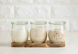 Sourdough Starter