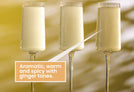 Warm Kombucha is aromatic and spicy with ginger tones