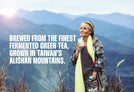 Kombucha from Alishan Mountains tea leaves