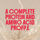 Irish Cream Keto Protein Powder