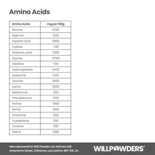 Chocolate Orange Keto Protein Powder Amino Acids Information