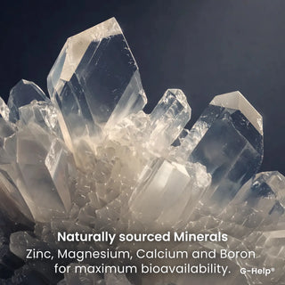 G-Help! Rapid weight loss support