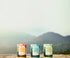 WillPowders kombucha powder with probiotics, prebiotics, postbiotics