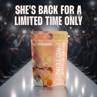 Sweet Ginger Spice Keto Protein Powder