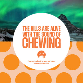 Sweet Ginger Spice Keto Protein Powder