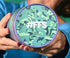 Woman holding a Protein Powder tub showing the lid with the text #FFS