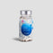 Thyroid Support Precursor